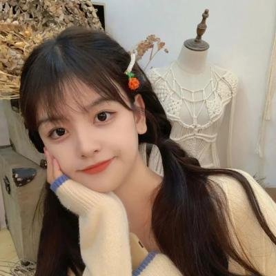 几度菊花香